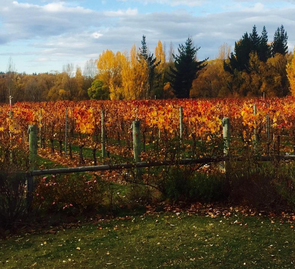 'The Crib' On Legacy Vineyard Villa Alexandra Kamer foto