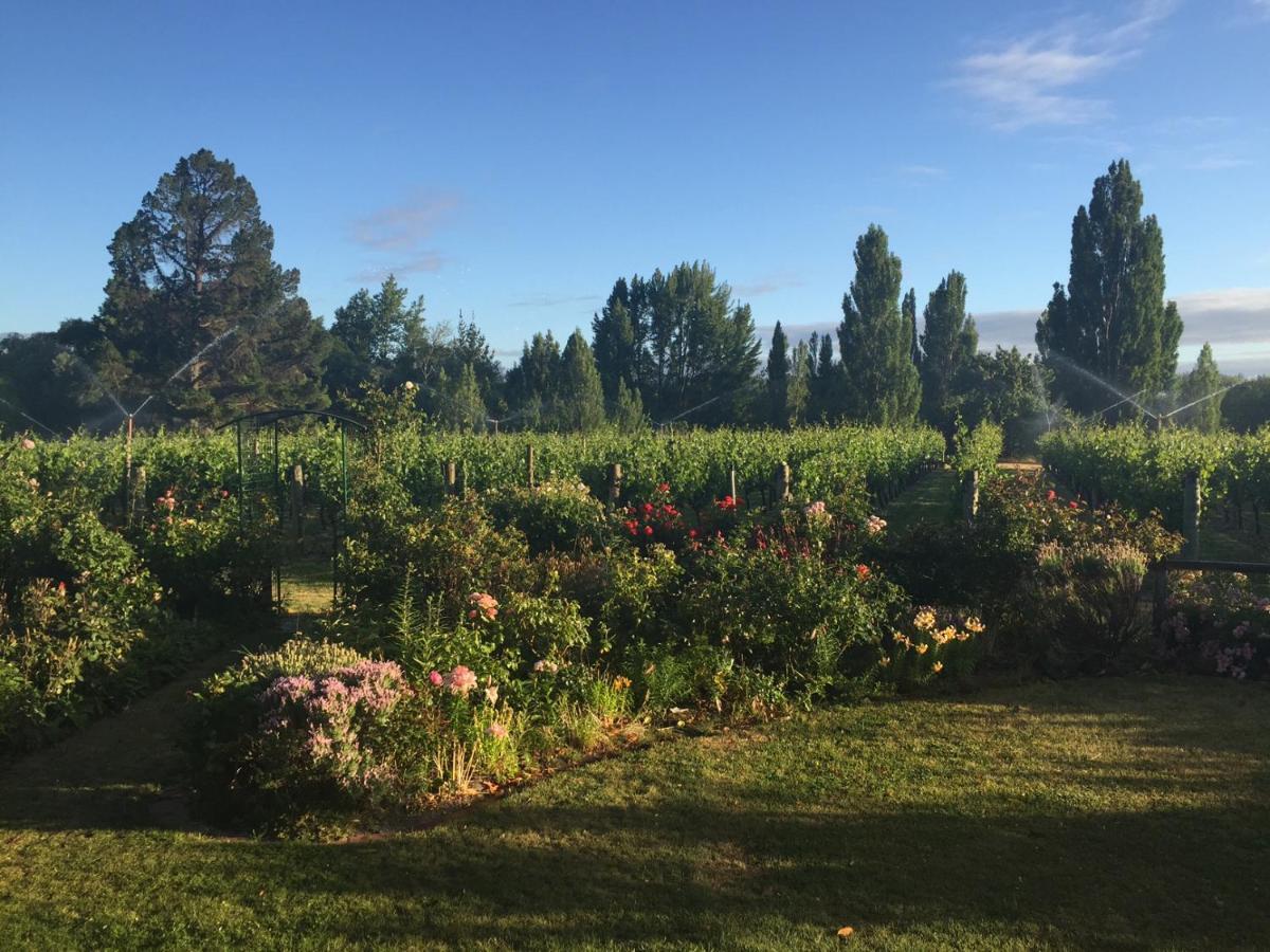'The Crib' On Legacy Vineyard Villa Alexandra Kamer foto